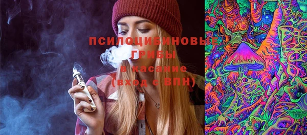 мдпв Киренск