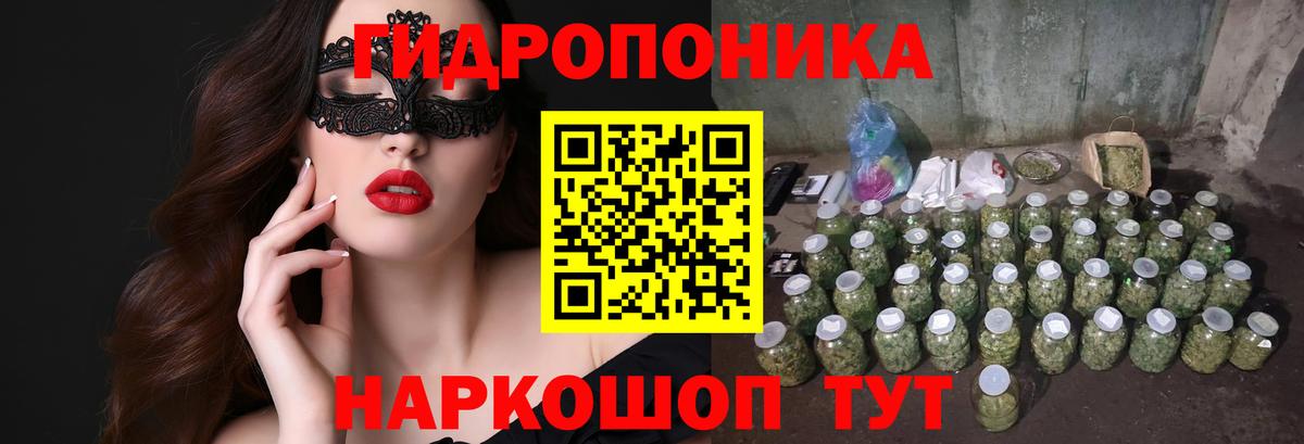 Каннабис конопля Батайск